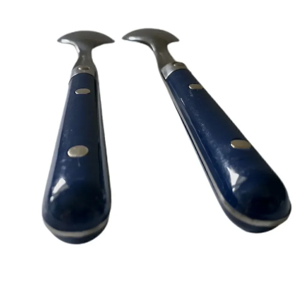 Vtg ANACAPA Teaspoon Set Pair Blue Handle Stainless Steel Retro Melamine Acrylic